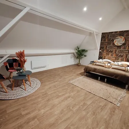 Ng Suitehome - Lille L Winoc Duplex - Balneo - Netflix - Wifi * توركوان