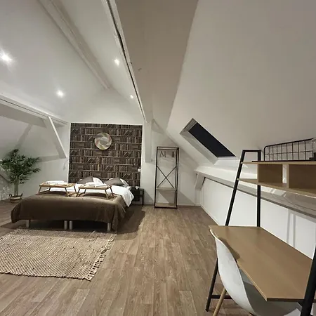 Ng Suitehome - Lille L Winoc Duplex - Balneo - Netflix - Wifi
